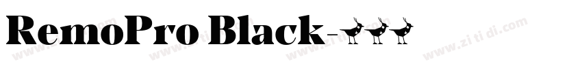 RemoPro Black字体转换